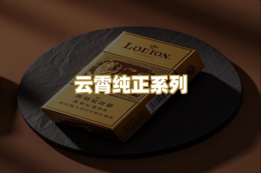 越南代工硬盒