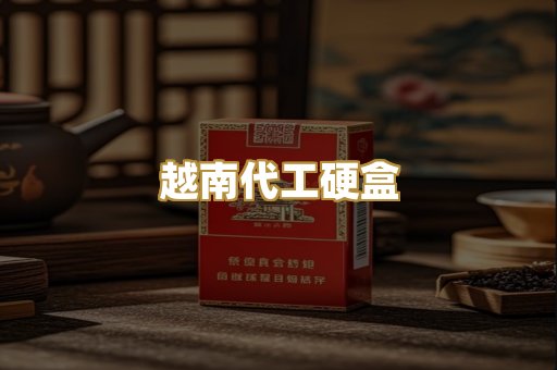 越南代工硬盒